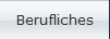 Berufliches